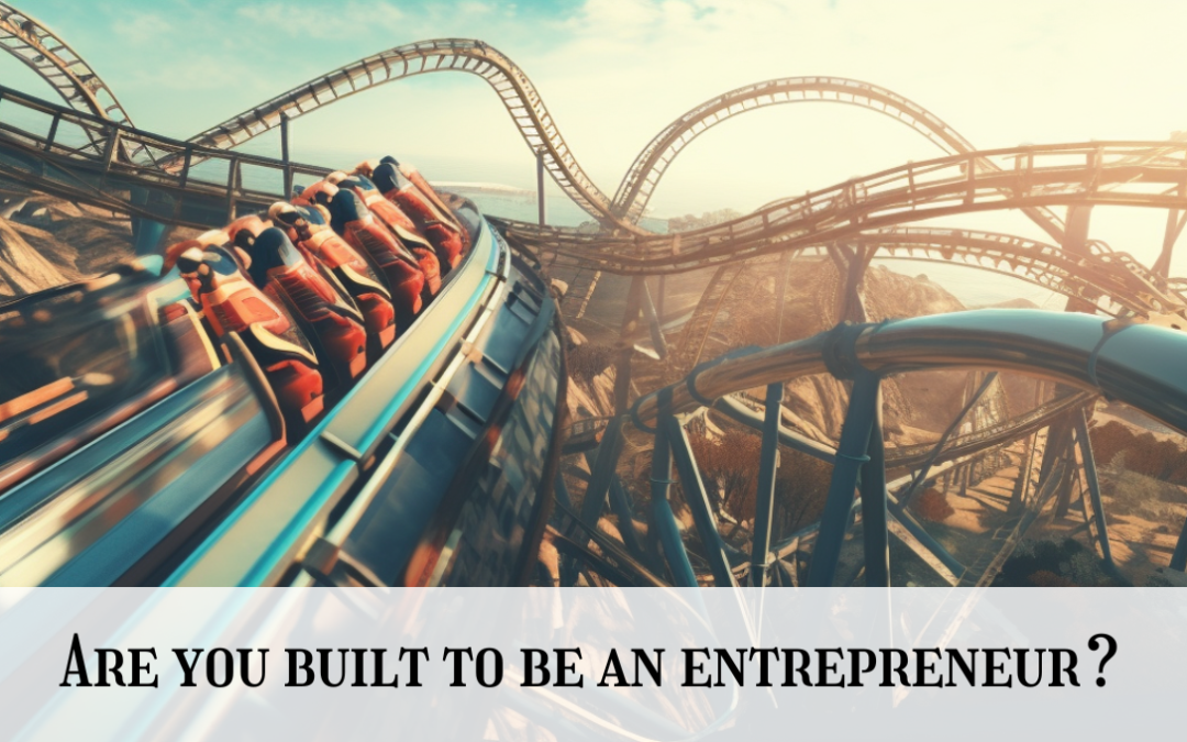 How to Start a Business: The the Most Terrifying, Thrilling Rollercoaster…